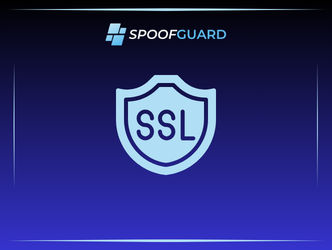 Certificate Transparency Logs: Your Early Warning System Against Brand Impersonation